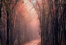 斯诺克巡回锦标赛:特鲁姆普首战遭淘汰无缘半决赛2025-04-04.