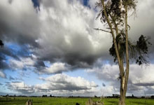 手机虎扑:单场12个三分都要成常态了!库里太恐怖了!.